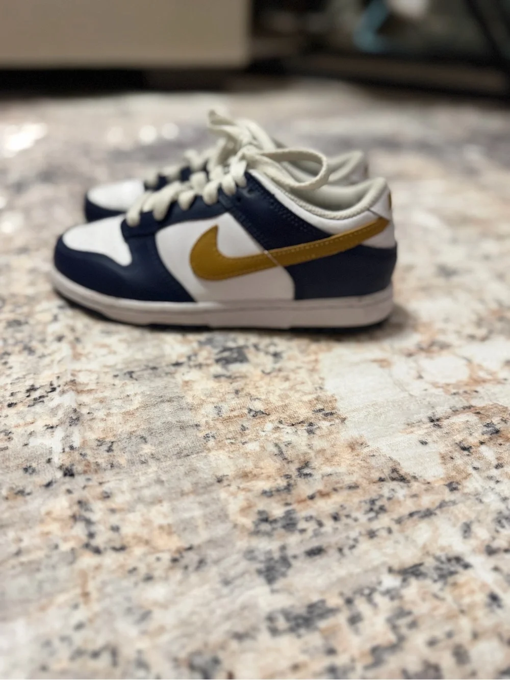 Boys Nike Dunk Low